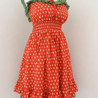 Strawberry Picnic Dress